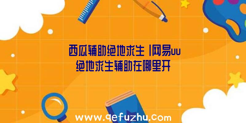 「西瓜辅助绝地求生」|网易uu绝地求生辅助在哪里开